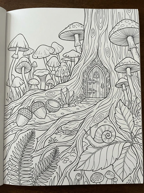 Mushroom Forest Cover