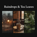 Raindrops & Tea Leaves - ASMR Ambient Soundscape (Extended Edition)
