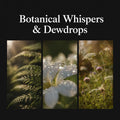 Botanical Whispers & Dewdrops - ASMR Ambient Soundscape (Extended Edition)