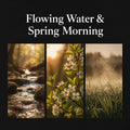 Flowing Water & Spring Morning - ASMR Ambient Soundscape (Extended Edition)
